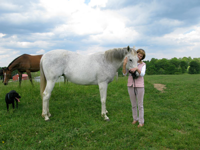 Horse Retirement at it's best!