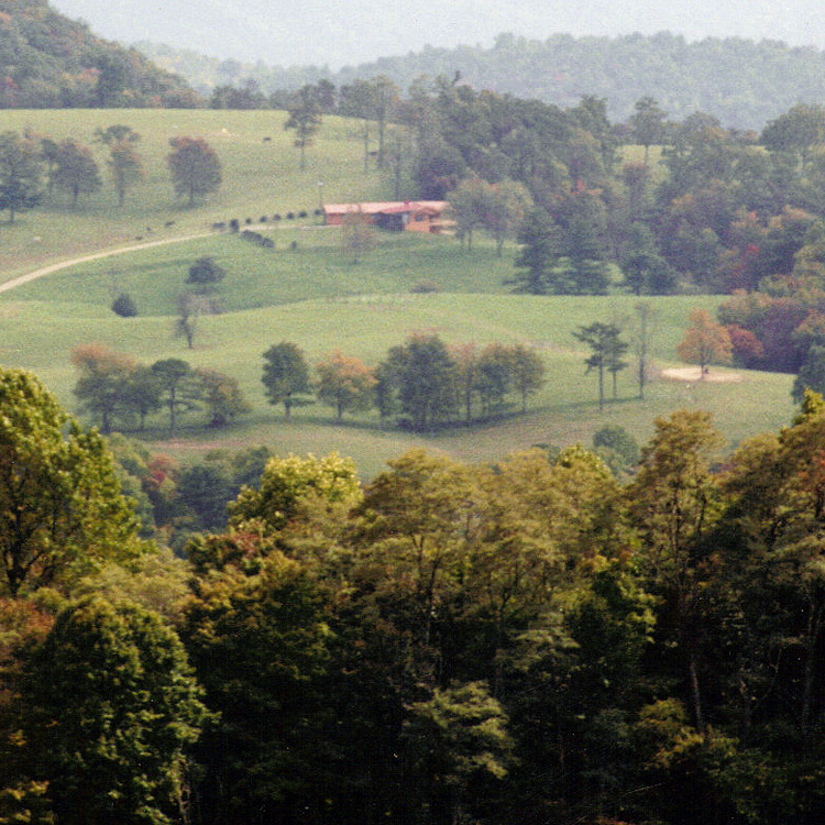 Horse Retirement at it's best!